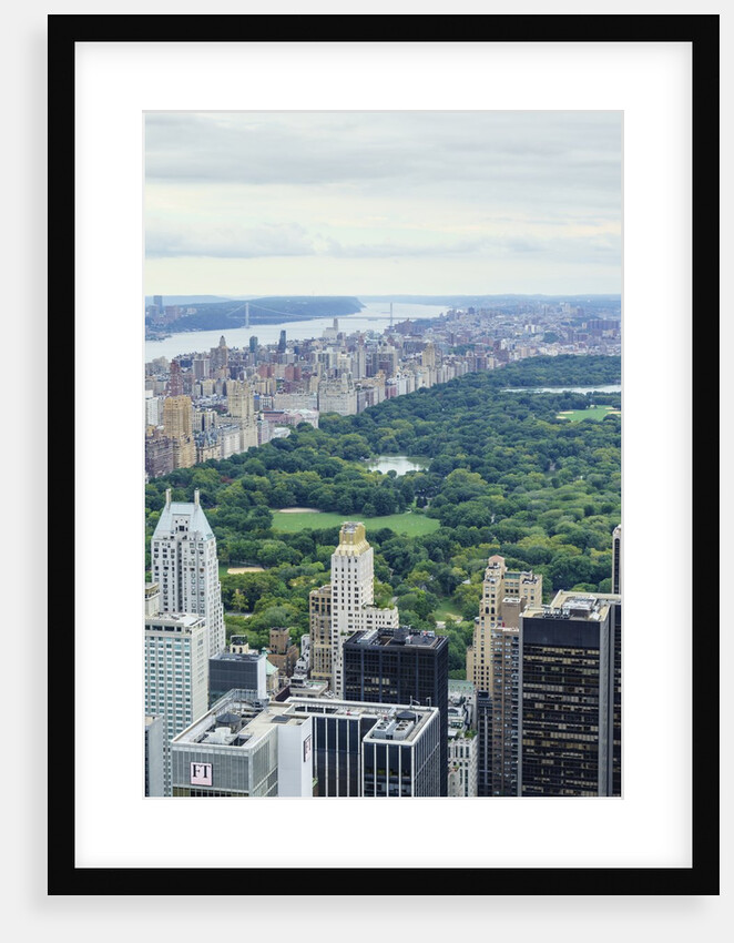 Central Park from above, New York City by Anonymous