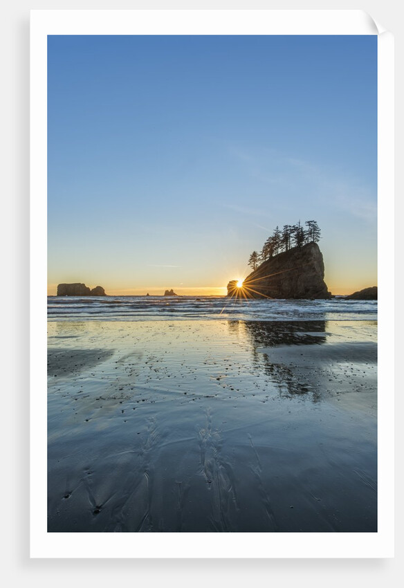 Second Beach Sunset by Anonymous