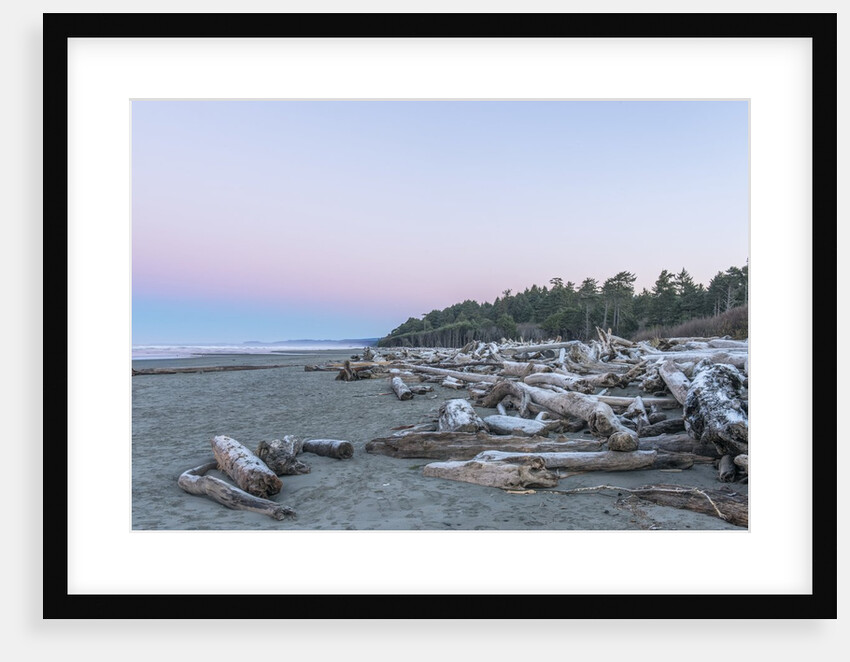 Kalaloch Beach Dawn by Anonymous