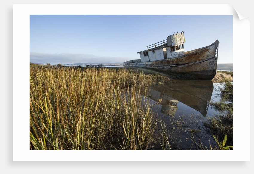 Point Reyes Shipwreck, Inverness, California by Anonymous