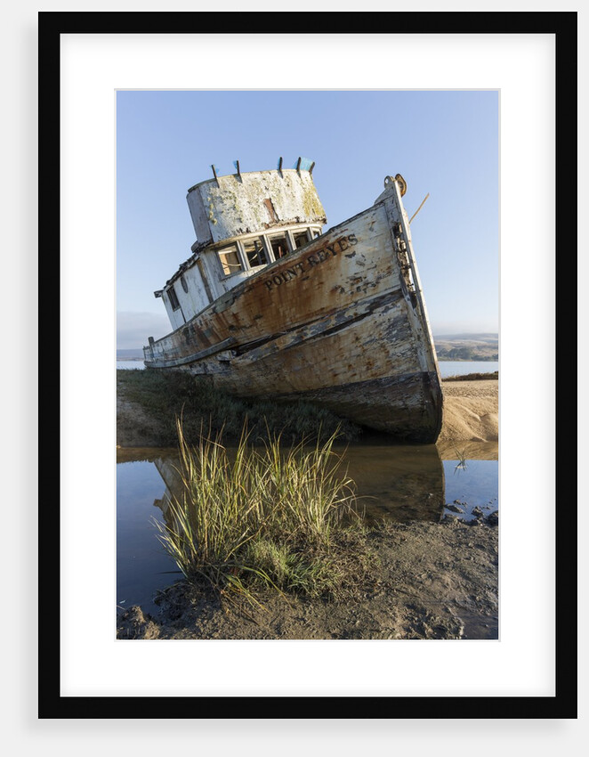 Point Reyes Shipwreck, Inverness, California by Anonymous