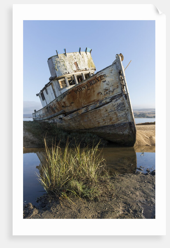 Point Reyes Shipwreck, Inverness, California by Anonymous