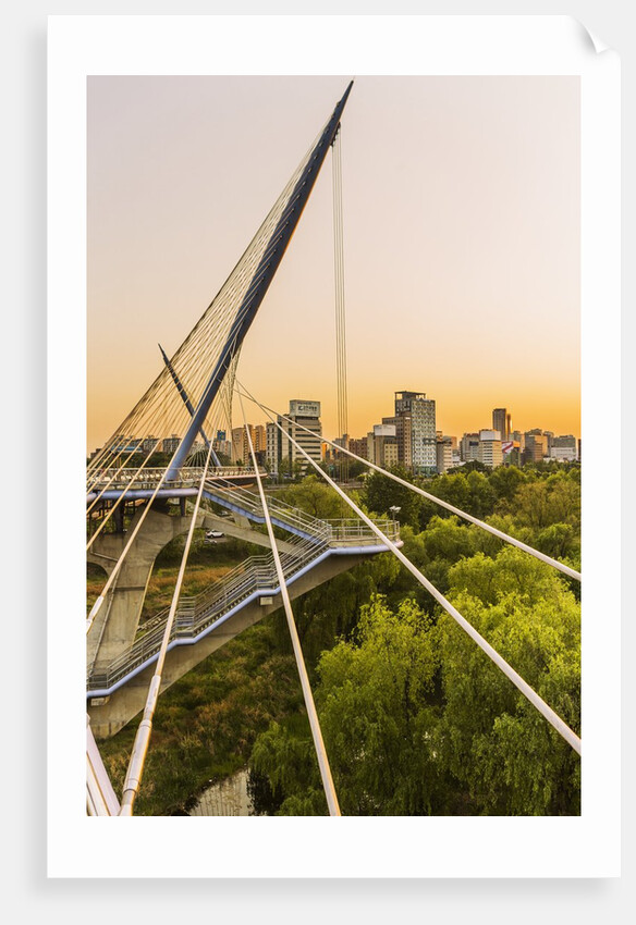 Yeouido, the Saetgang Ecological Park, a wild wetland among the skyscrapers, the Saetgang Bridge (footbridge) by Anonymous