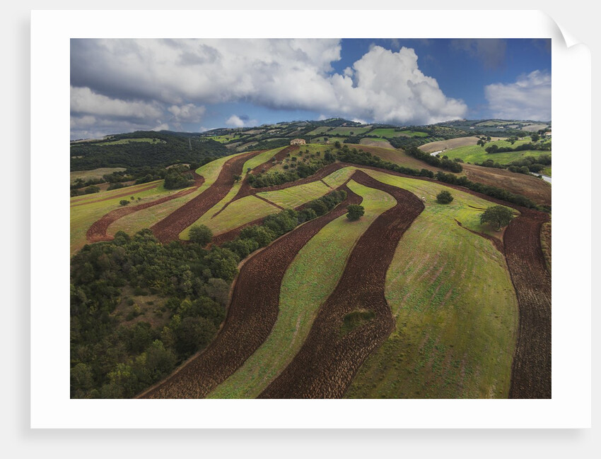 Working a field near Manciano, air view by drone by Anonymous