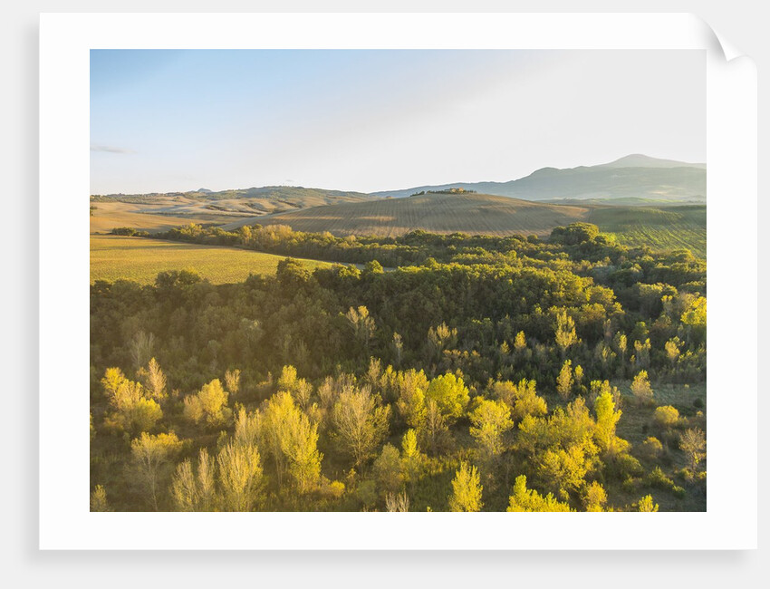 Orcia river near Pienza, air view by drone by Anonymous