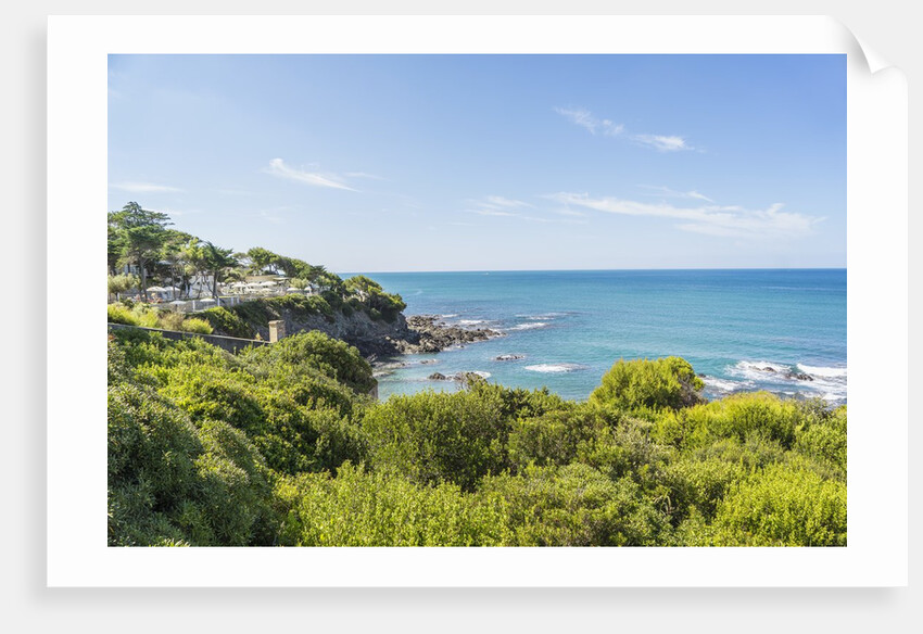 Quercianella, the coast and the beach by Anonymous