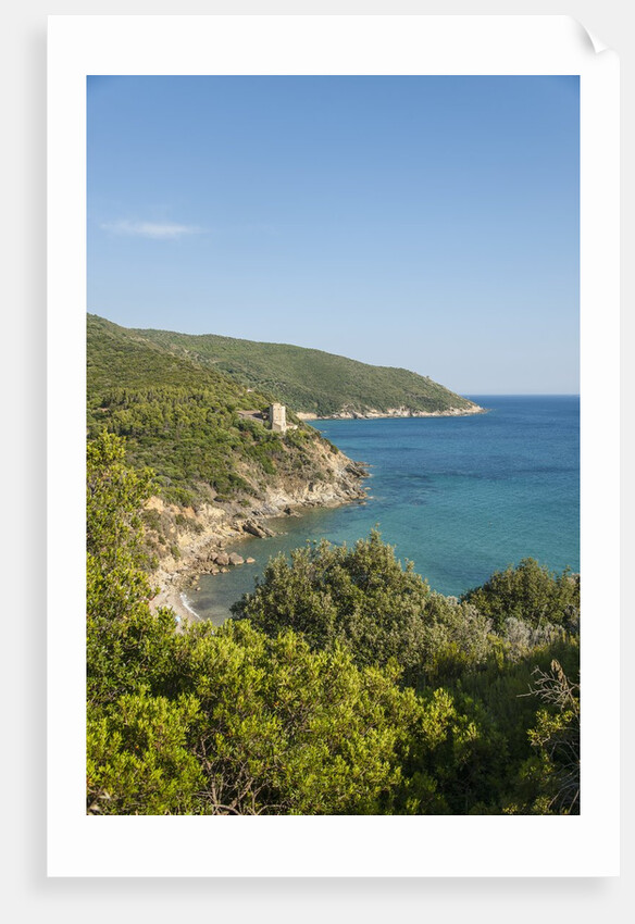 Le Cannelle Beach by Anonymous