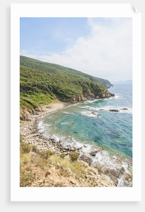 Cala san Quirico, near Buca delle Fate by Anonymous