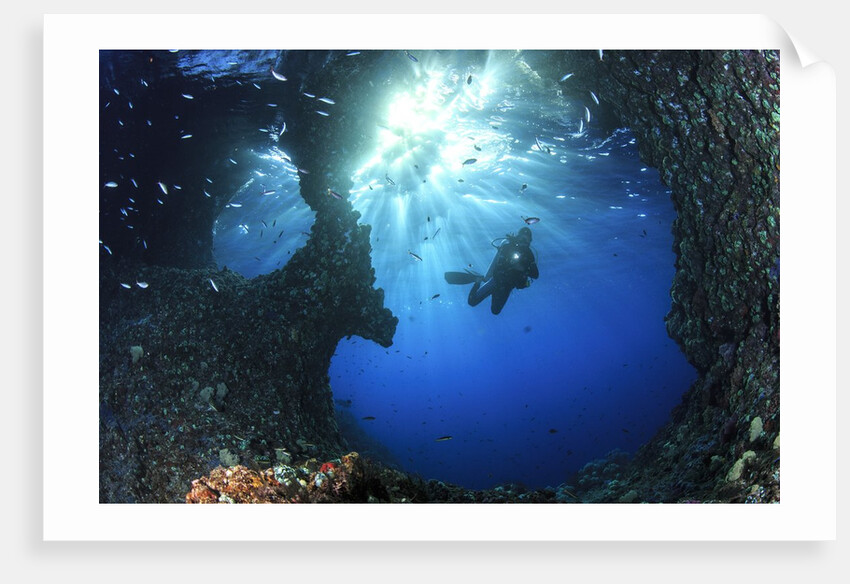 scuba diver swimming through an arch by Anonymous
