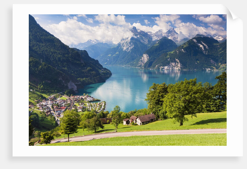 Lake Lucerne by Anonymous