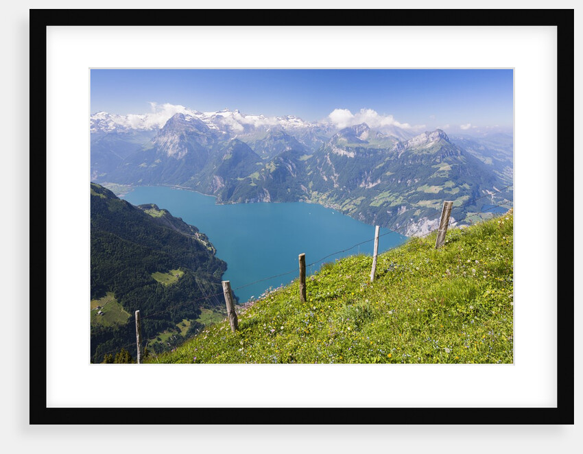 Lake Lucerne by Anonymous