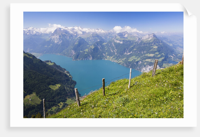 Lake Lucerne by Anonymous
