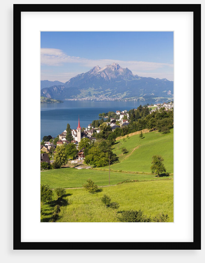 Lake Lucerne by Anonymous