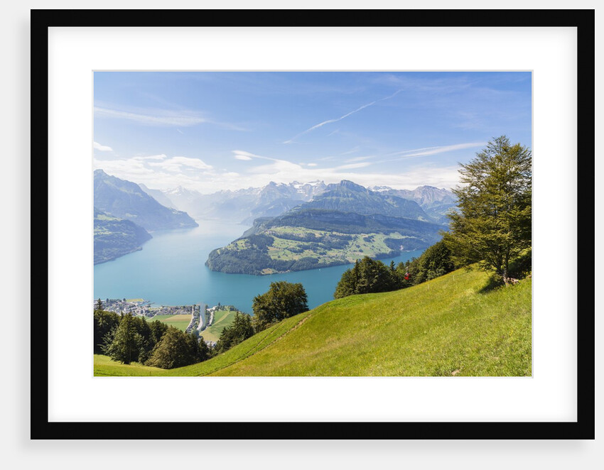 Lake Lucerne by Anonymous