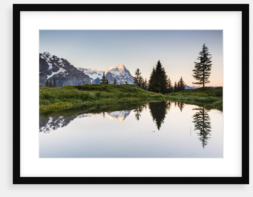 Mount Eiger at sunrise by Anonymous