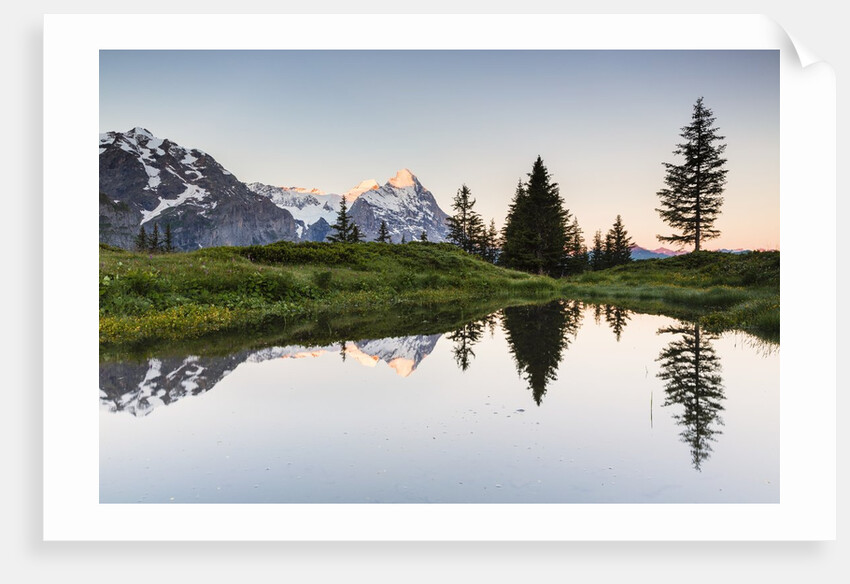 Mount Eiger at sunrise by Anonymous