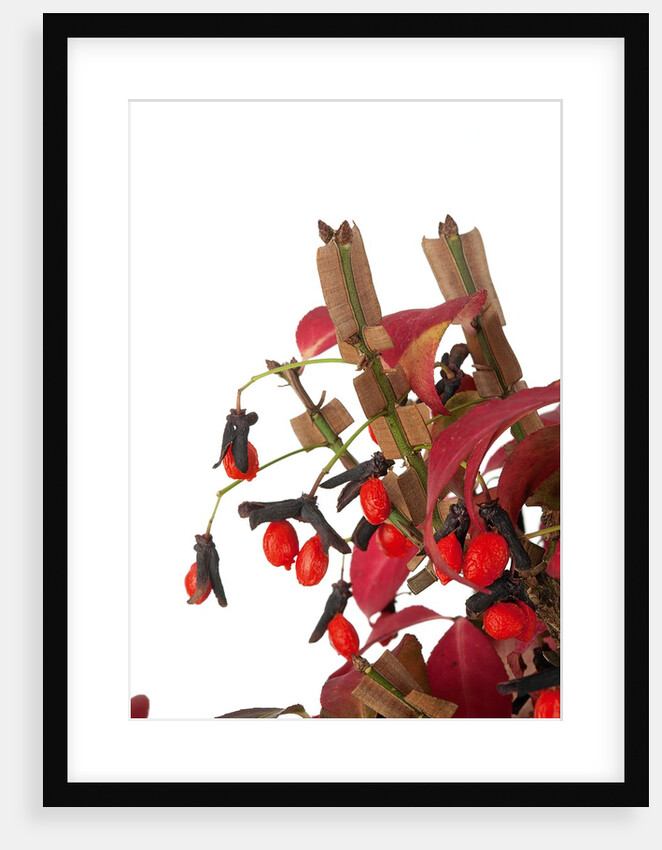 bonsai leaves by Anonymous