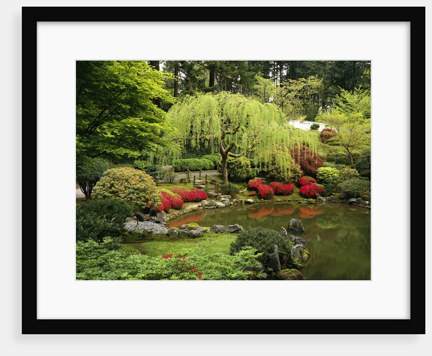 Japanese Garden Pond by Anonymous