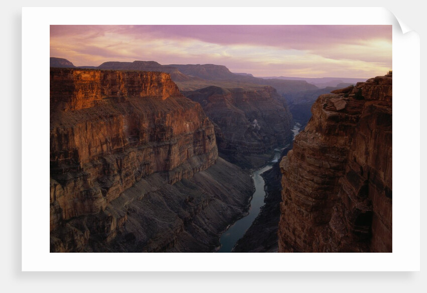 Colorado River in the Grand Canyon by Anonymous
