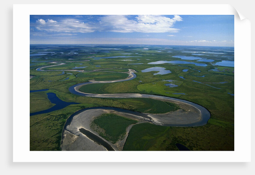 Tundra in Alaska by Anonymous