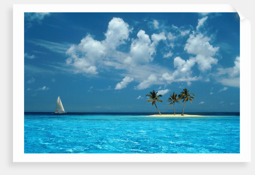 Sailing on the Blue Sea by Anonymous