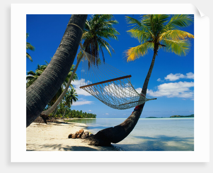 Hammock Hanging Seaside by Anonymous