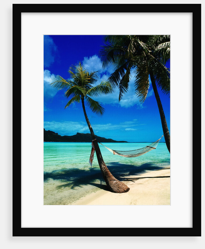 Hammock Hanging Seaside by Anonymous
