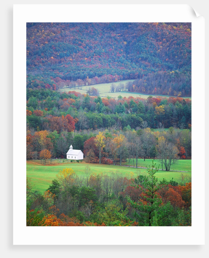Rural Setting in Great Smoky Mountains by Anonymous