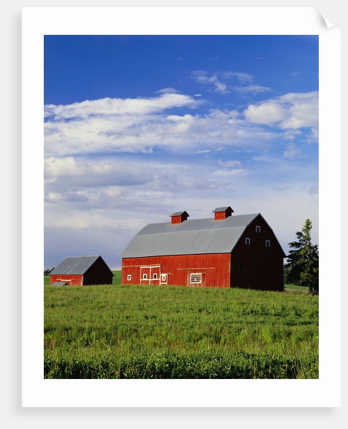 Old Red Barn in Field by Anonymous