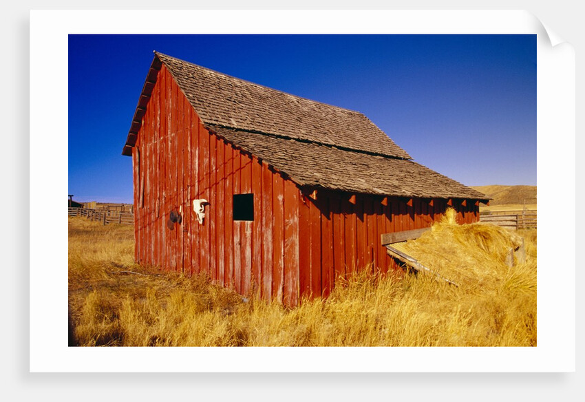 Weathered Old Barn on Ranch by Anonymous