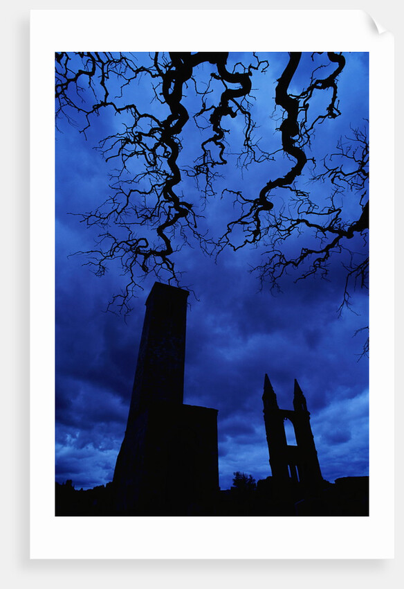 St. Andrew's Cathedral Under Gloomy Sky by Anonymous