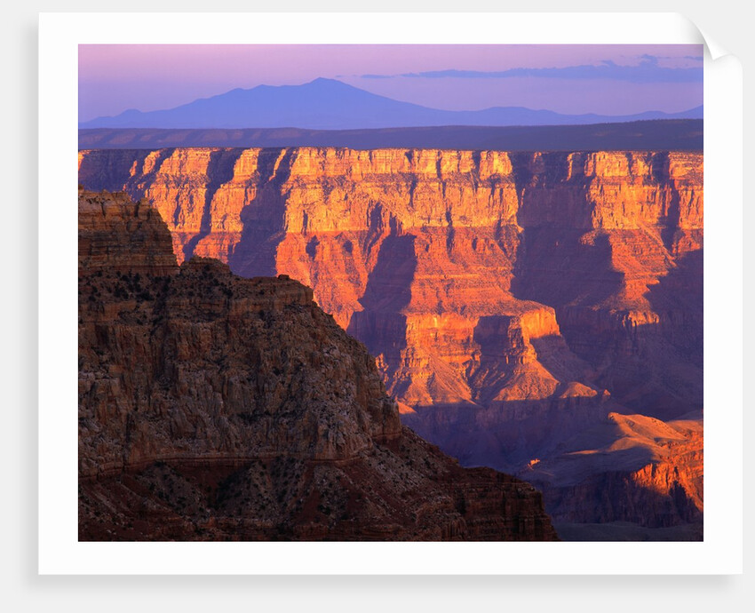 Grand Canyon at Sunset by Anonymous