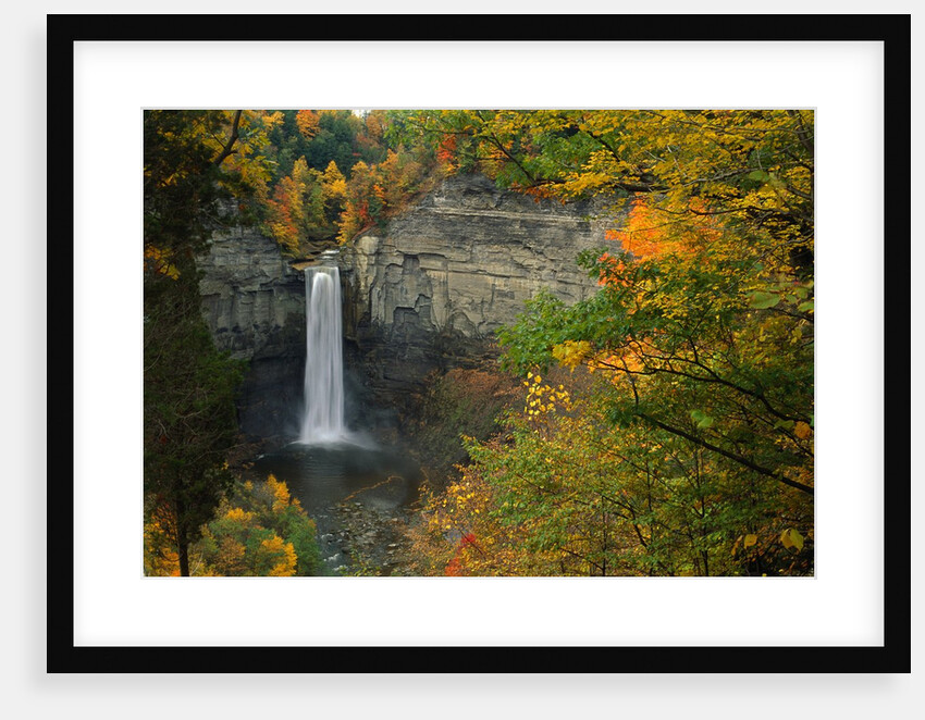 Waterfall Amongst Autumn Foliage by Anonymous