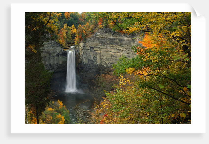 Waterfall Amongst Autumn Foliage by Anonymous