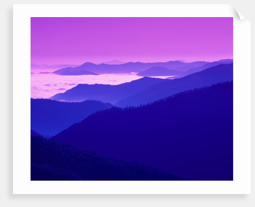 Great Smoky Mountains Under a Purple Sky by Anonymous