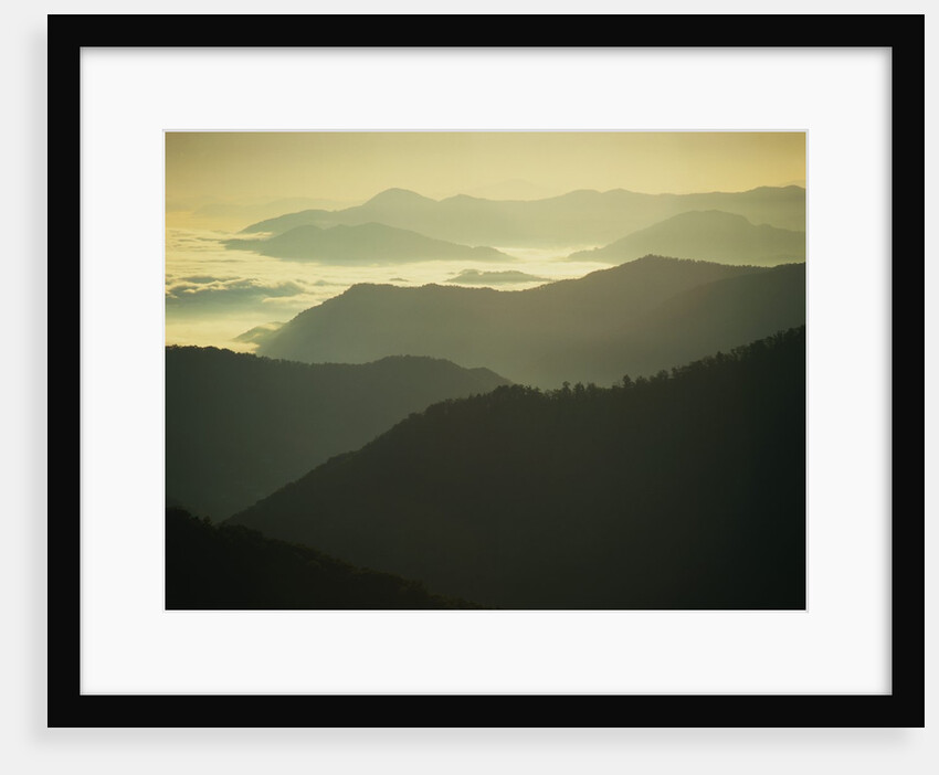 Great Smoky Mountains by Anonymous