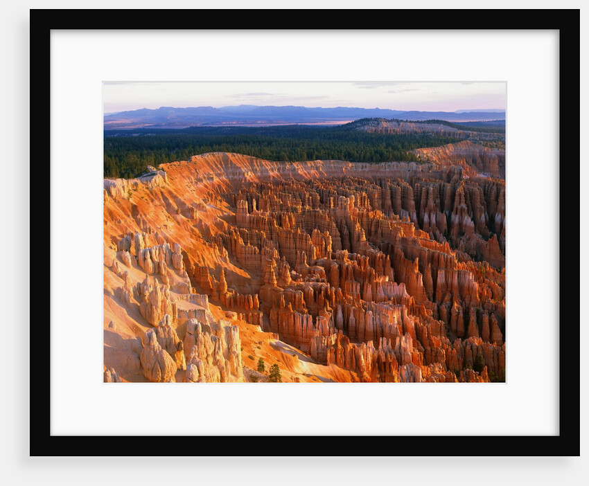 Bryce Amphitheater by Anonymous