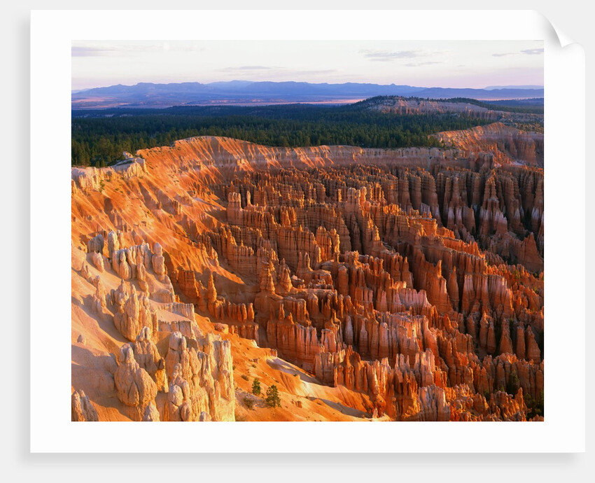 Bryce Amphitheater by Anonymous