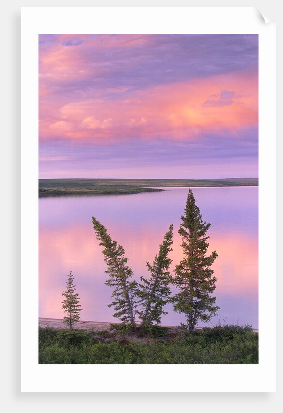 Calm Lake Reflecting Pink Clouds by Anonymous