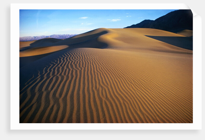Sand Dunes in Death Valley by Anonymous