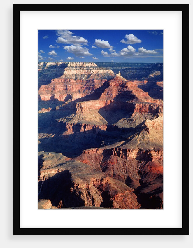 Grand Canyon by Anonymous