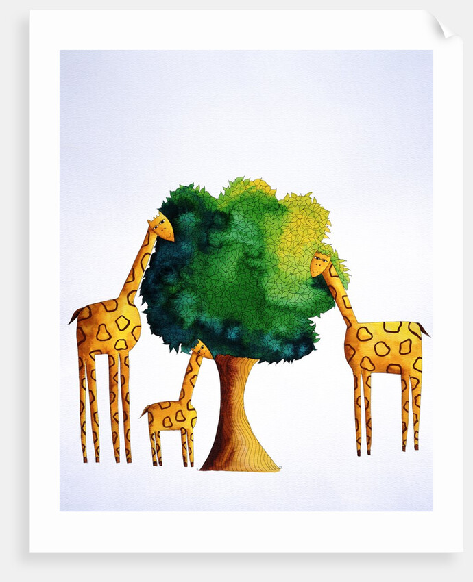 Giraffes Eating from Tree by Anonymous
