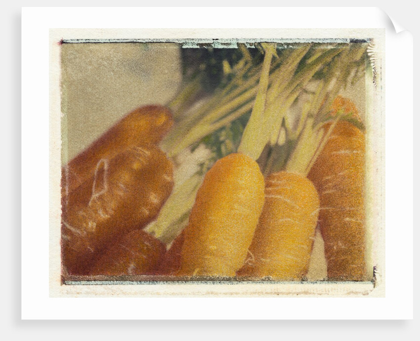 Carrots by Jennifer Kennard