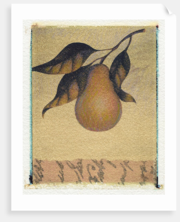 Single Pear by Jennifer Kennard