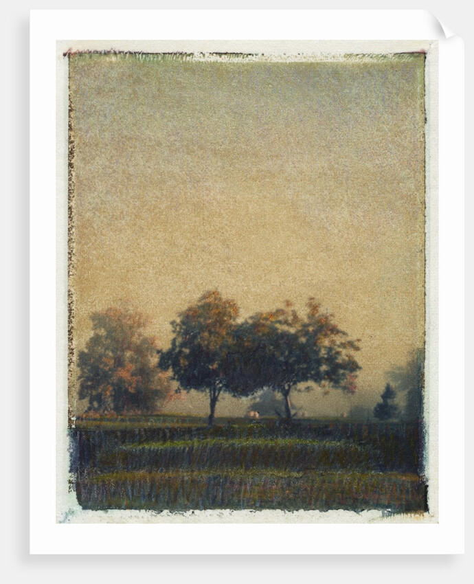 Sheep Meadow by Jennifer Kennard