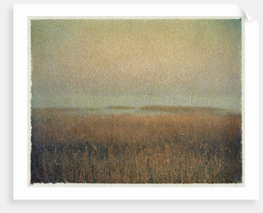 Eastham Marsh by Jennifer Kennard