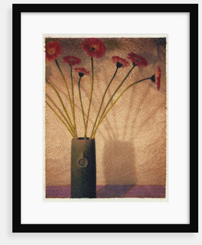 Gerbera by Jennifer Kennard