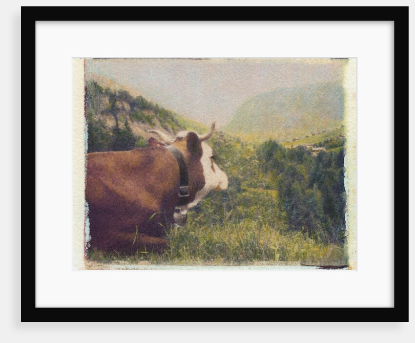 Alpine Cow by Jennifer Kennard