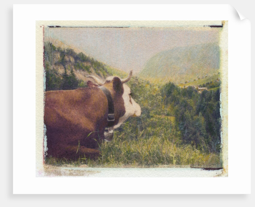 Alpine Cow by Jennifer Kennard