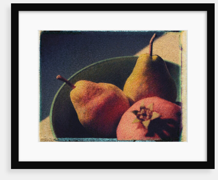 Bowl of Fruit by Jennifer Kennard